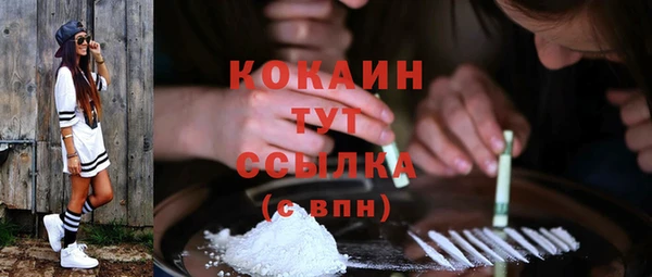 ПСИЛОЦИБИНОВЫЕ ГРИБЫ Павловск
