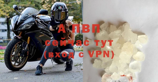 ешки Санкт-Петербург