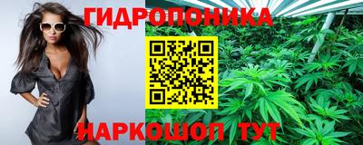 дживик Донецк