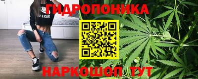 дживик Донецк