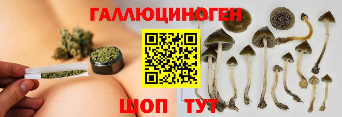 Галлюциногенные грибы Psilocybe  Вход с VPN  Галлюциногенные грибы Psilocybe  Уфа 